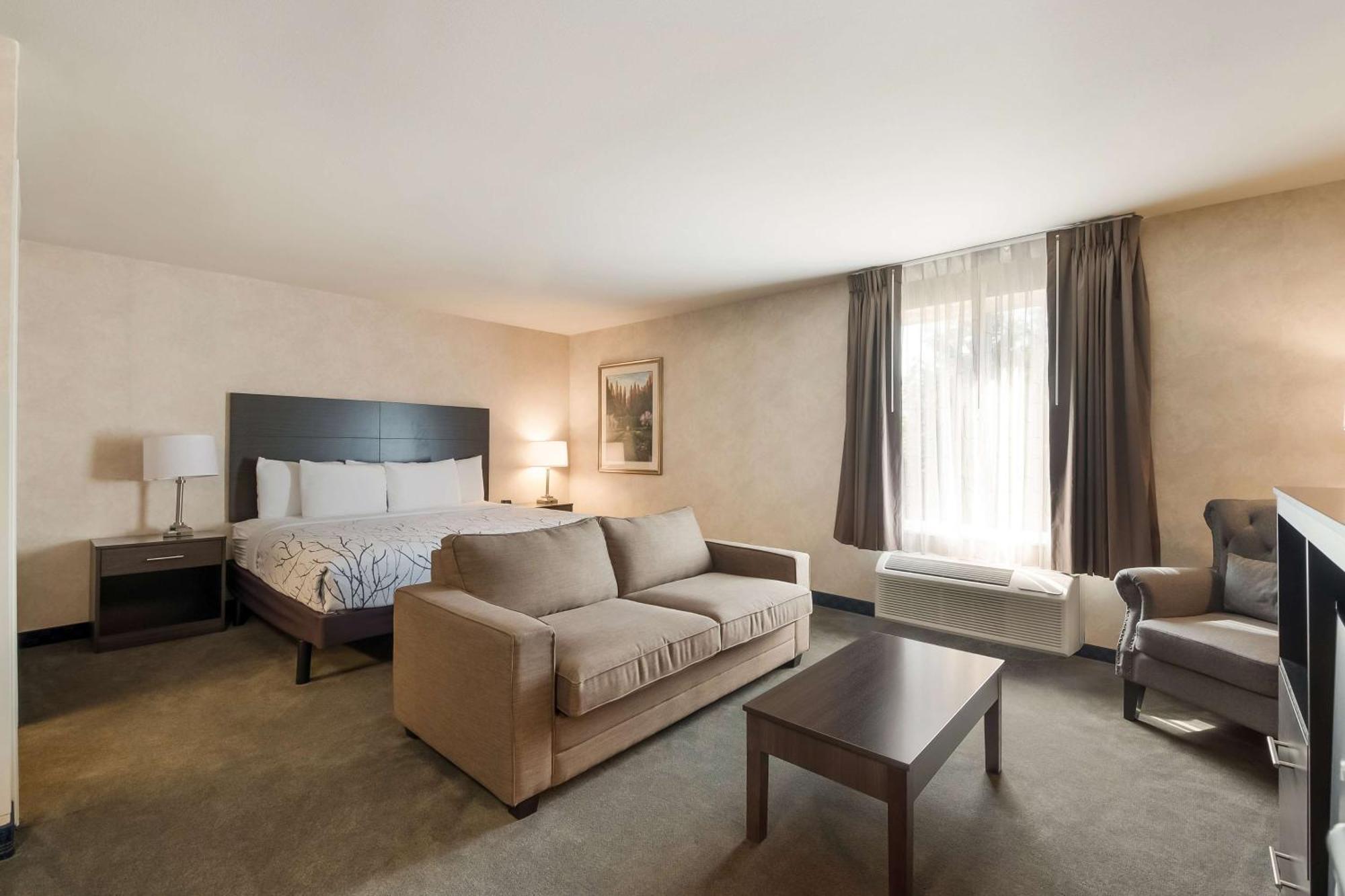 King Suite Sofa Bed,1543445125:JPEG
